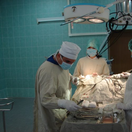 chelustno-licevoe (2).jpg