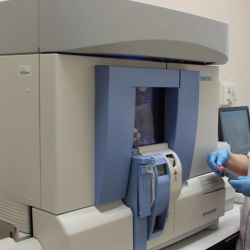 5-1-500x500.jpg 5-1-500x500.jpg