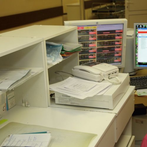 mozg_3.jpg mozg_3.jpg