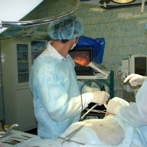 chelustno-licevoe (5).jpg