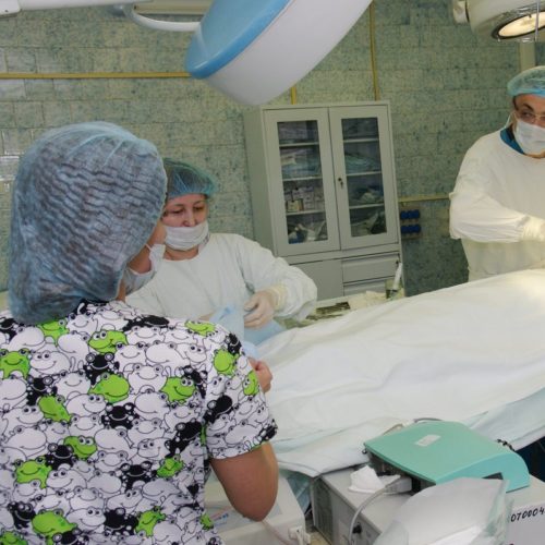 chelustno-licevoe (9).jpg chelustno-licevoe (9).jpg