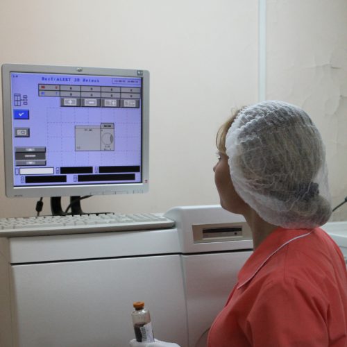 img_5796-500x500.jpg img_5796-500x500.jpg